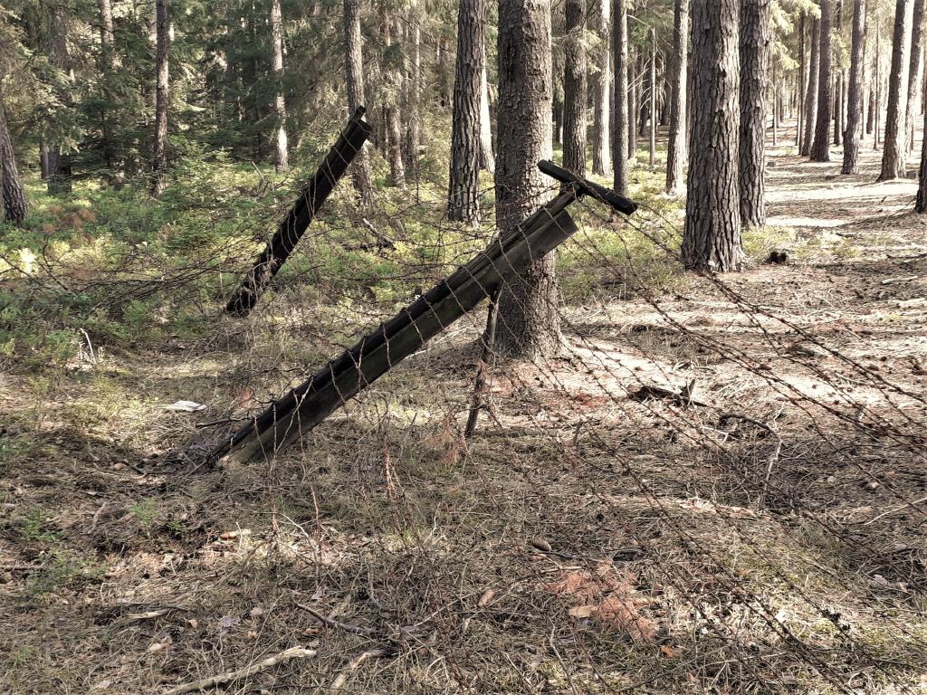 pepajs.cz